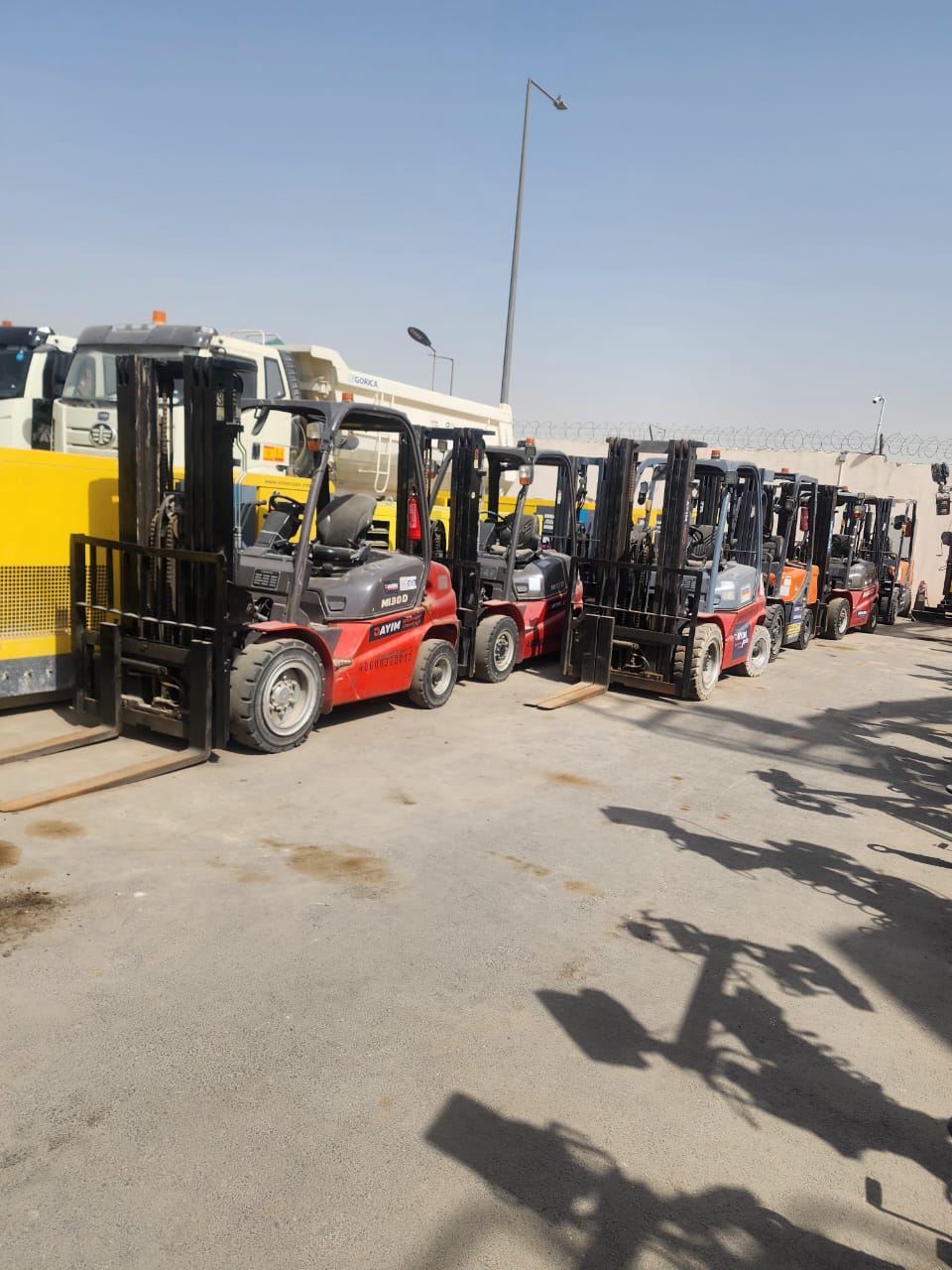روافع شوكية