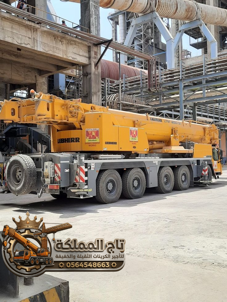 100 Ton Crane